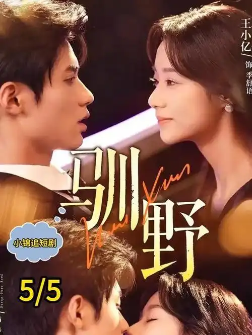 茶席光影画廊作品二